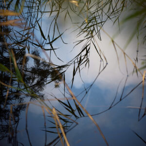 Stenfastigheter_Hållbarhet